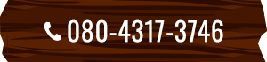 tel:080-4317-3746