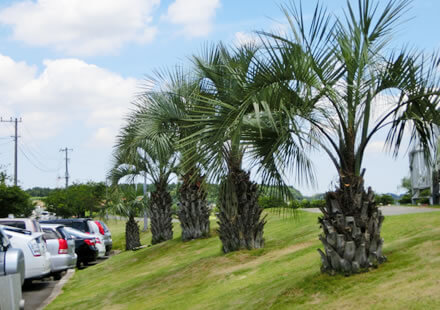 非日常を感じる