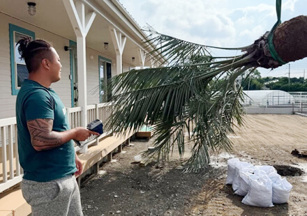 こだわりの庭を手の届く価格で