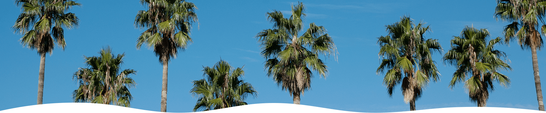 サービスについて